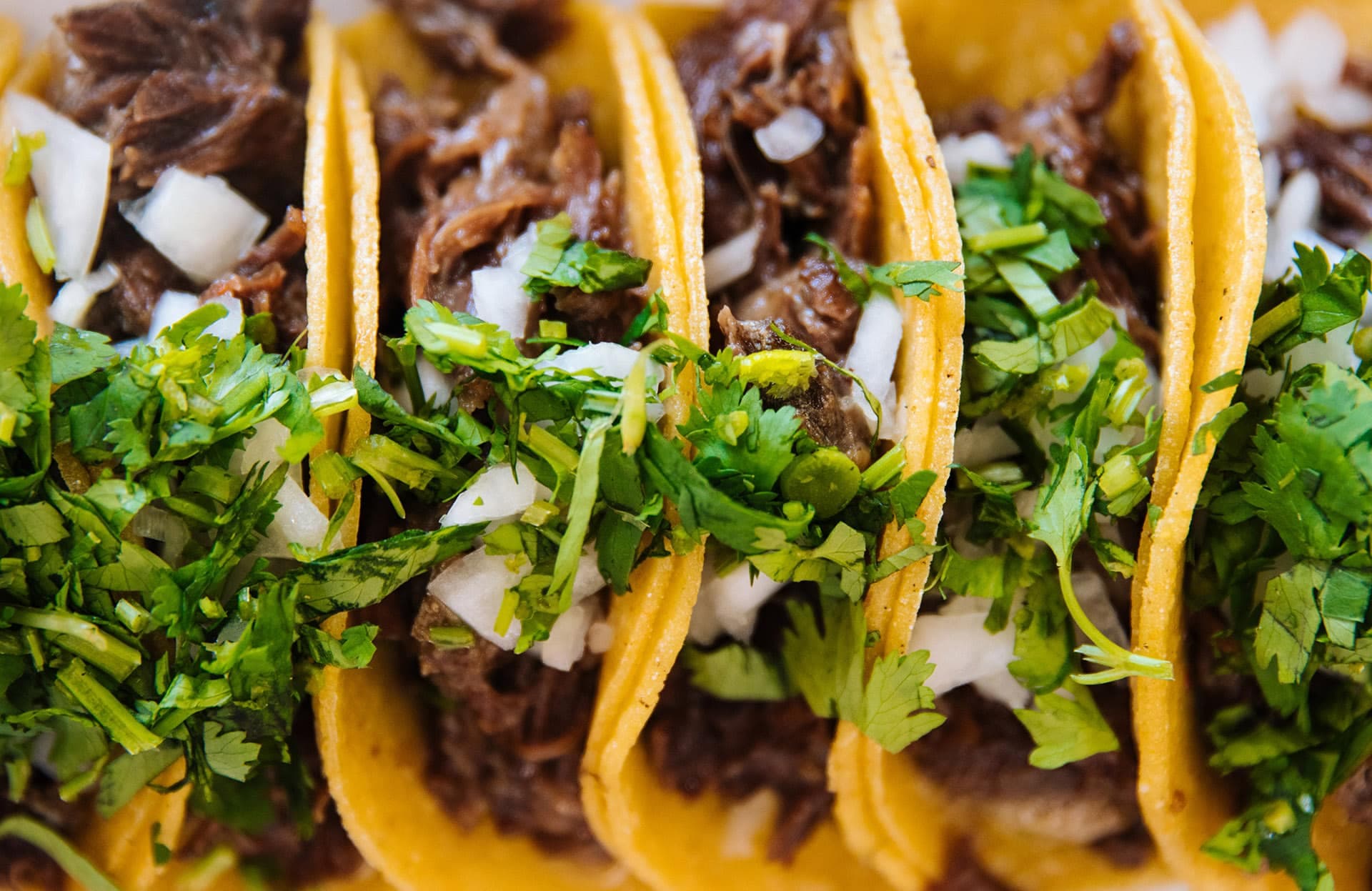Tacos frais Los TNT Tacos
